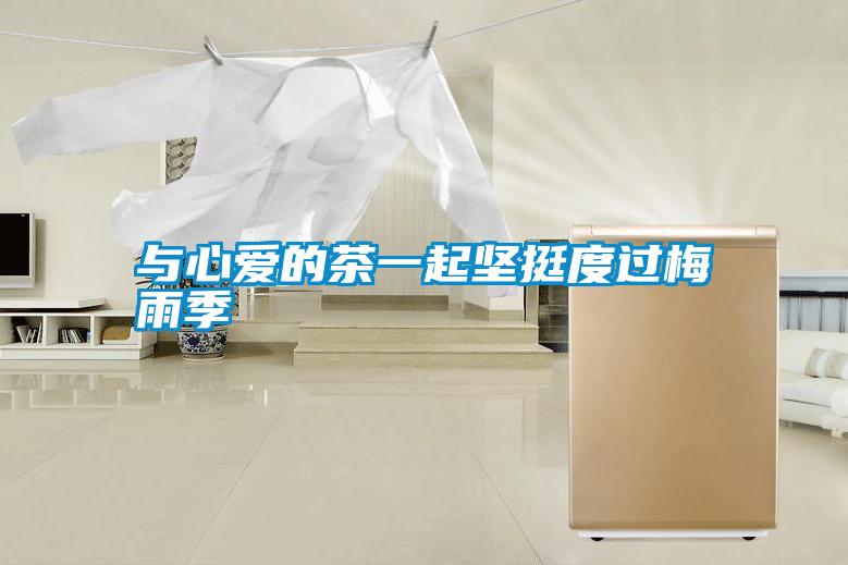 與心愛(ài)的茶一起堅(jiān)挺度過(guò)梅雨季