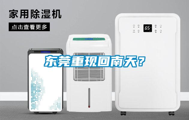 東莞重現(xiàn)回南天？