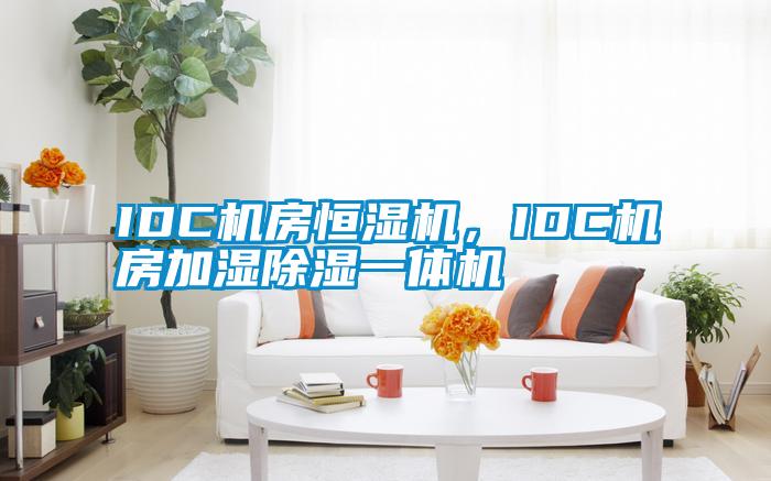 IDC機房恒濕機，IDC機房加濕除濕一體機