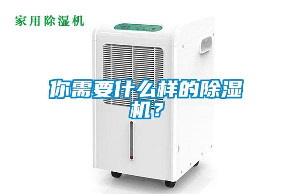 你需要什么樣的除濕機？