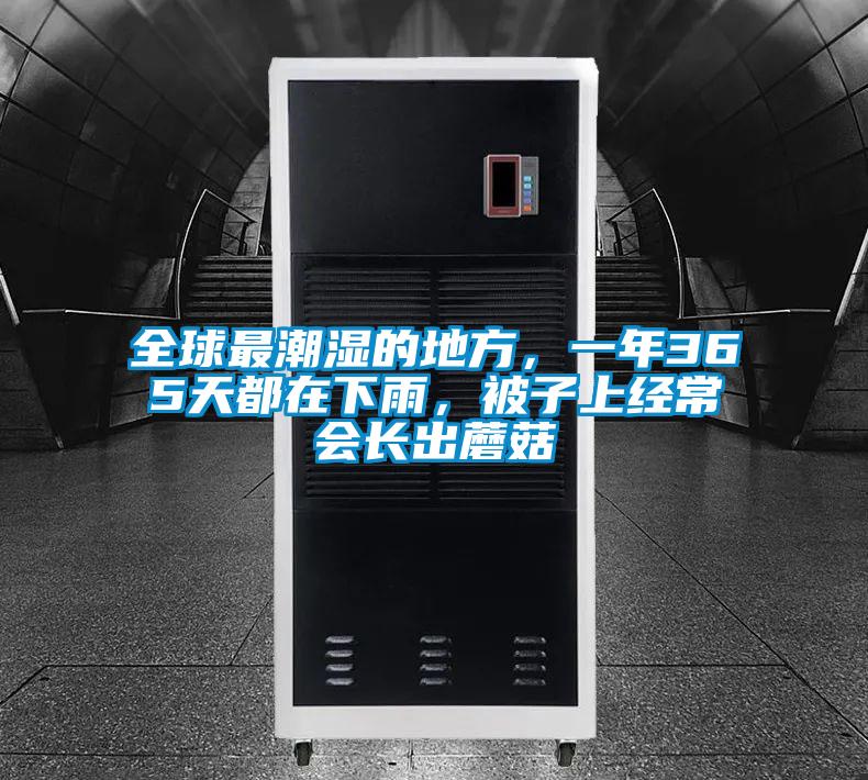 全球最潮濕的地方，一年365天都在下雨，被子上經(jīng)常會(huì)長(zhǎng)出蘑菇