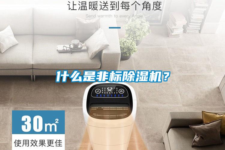 什么是非標(biāo)除濕機(jī)？