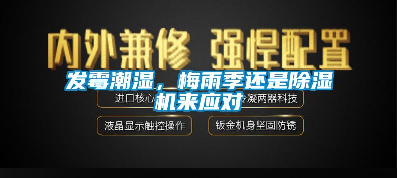 發(fā)霉潮濕，梅雨季還是除濕機(jī)來應(yīng)對(duì)