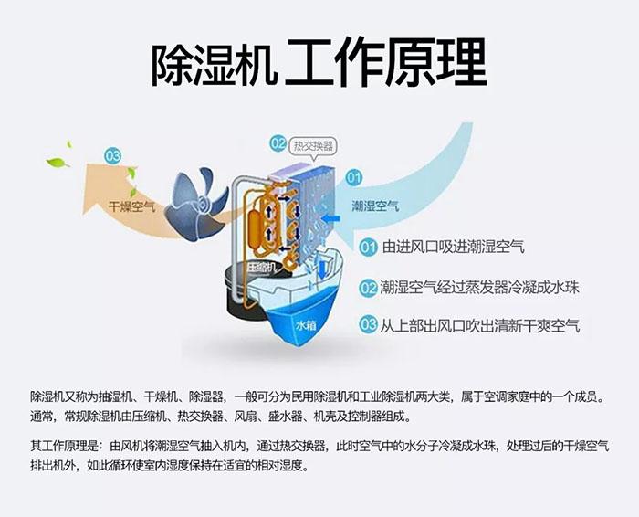 為室內(nèi)綠化園添置除濕機需要考慮哪些因素？
