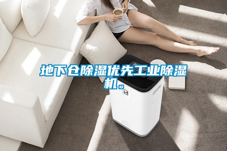 地下倉除濕優(yōu)先工業(yè)除濕機(jī)。