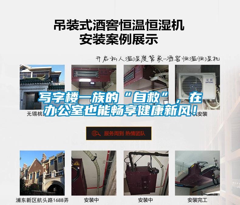 寫字樓一族的“自救”，在辦公室也能暢享健康新風(fēng)！