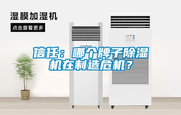 信任：哪個(gè)牌子除濕機(jī)在制造危機(jī)？