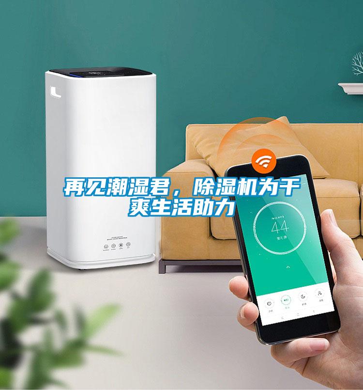 再見潮濕君，除濕機(jī)為干爽生活助力