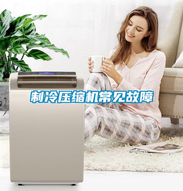 制冷壓縮機(jī)常見故障
