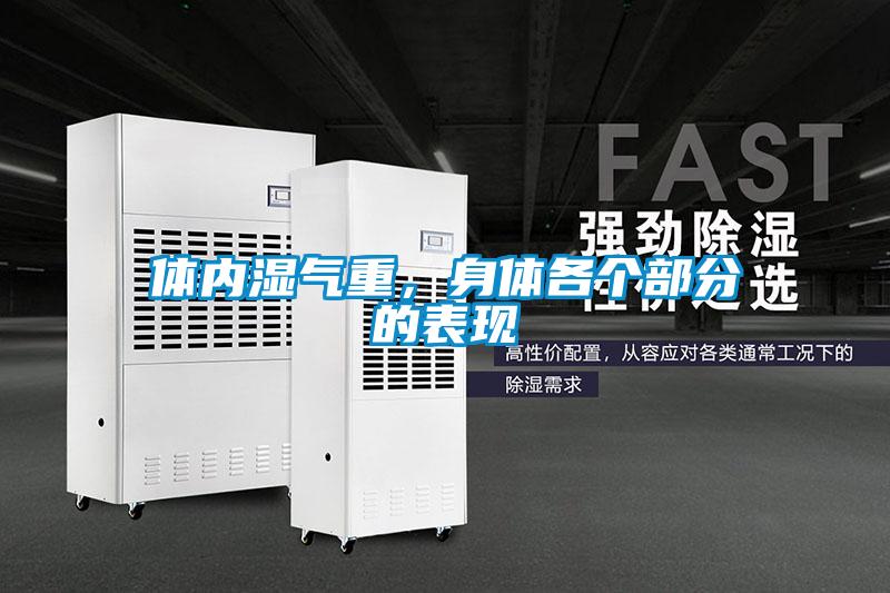 體內(nèi)濕氣重，身體各個部分的表現(xiàn)