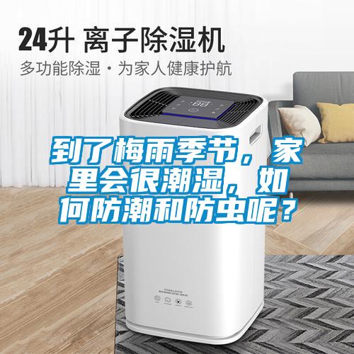 到了梅雨季節，家里會很潮濕，如何防潮和防蟲呢？