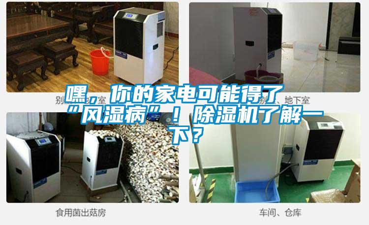 嘿，你的家電可能得了“風(fēng)濕病”！除濕機(jī)了解一下？