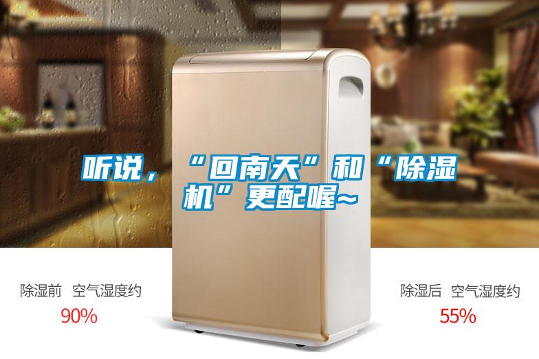 聽說，“回南天”和“除濕機”更配喔~