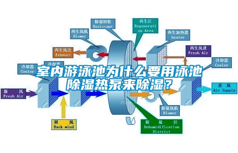 室內(nèi)游泳池為什么要用泳池除濕熱泵來除濕？