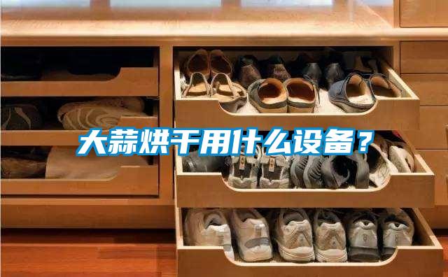 大蒜烘干用什么設(shè)備？
