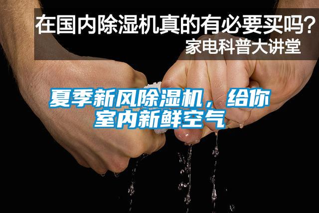 夏季新風(fēng)除濕機(jī)，給你室內(nèi)新鮮空氣