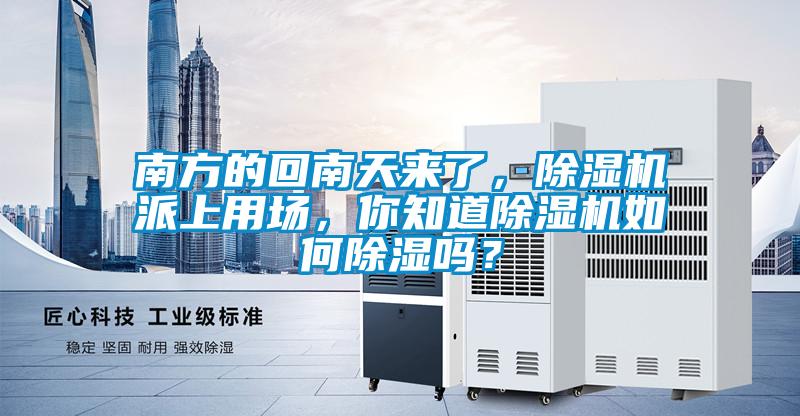 南方的回南天來(lái)了，除濕機(jī)派上用場(chǎng)，你知道除濕機(jī)如何除濕嗎？