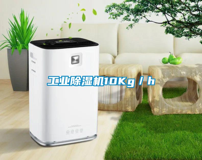 工業(yè)除濕機10Kg／h