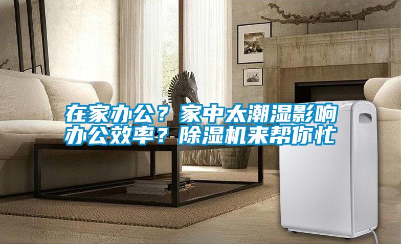 在家辦公？家中太潮濕影響辦公效率？除濕機來幫你忙