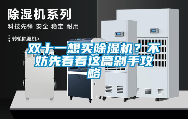 雙十一想買(mǎi)除濕機(jī)？不妨先看看這篇剁手攻略