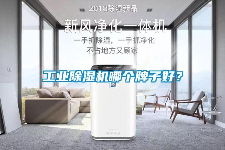 工業(yè)除濕機哪個牌子好？