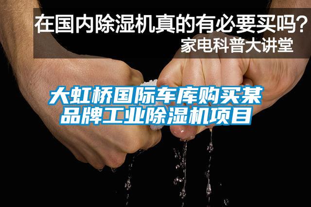 大虹橋國(guó)際車庫(kù)購(gòu)買(mǎi)某品牌工業(yè)除濕機(jī)項(xiàng)目