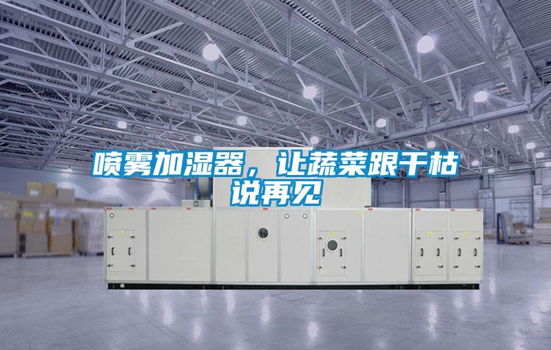 噴霧加濕器，讓蔬菜跟干枯說再見