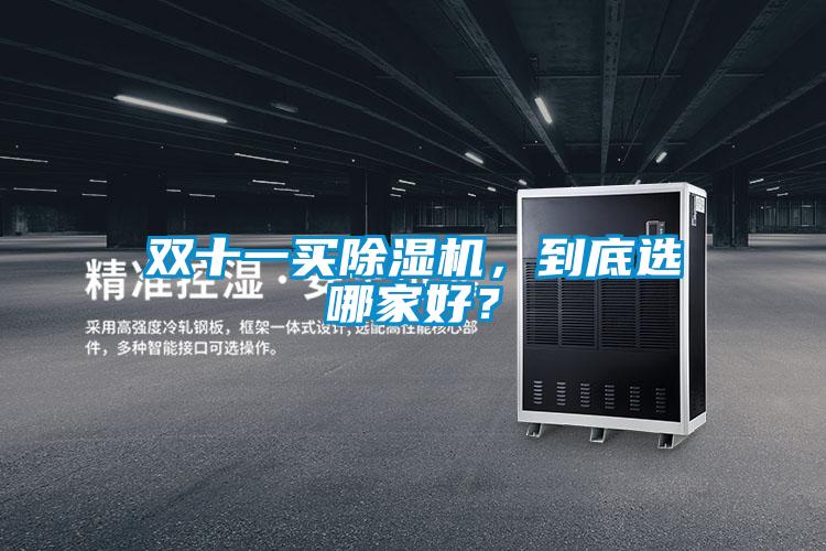 雙十一買(mǎi)除濕機(jī)，到底選哪家好？