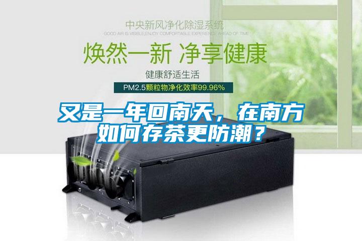 又是一年回南天，在南方如何存茶更防潮？
