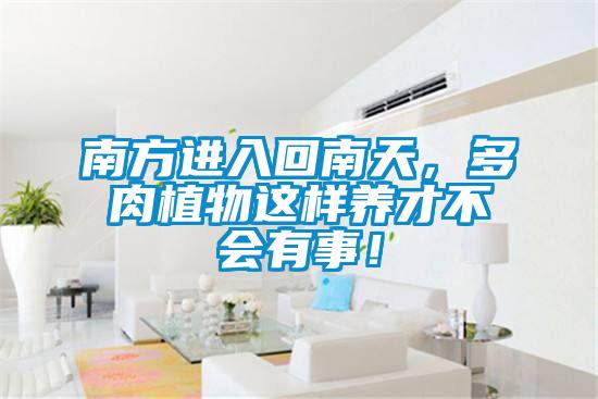 南方進入回南天，多肉植物這樣養才不會有事！