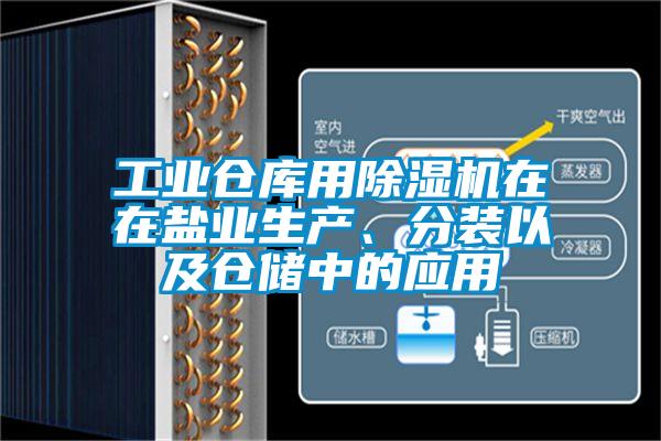 工業(yè)倉(cāng)庫(kù)用除濕機(jī)在在鹽業(yè)生產(chǎn)、分裝以及倉(cāng)儲(chǔ)中的應(yīng)用