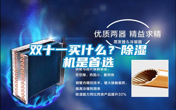 雙十一買什么？除濕機是首選