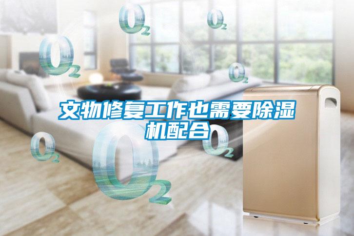 文物修復(fù)工作也需要除濕機配合