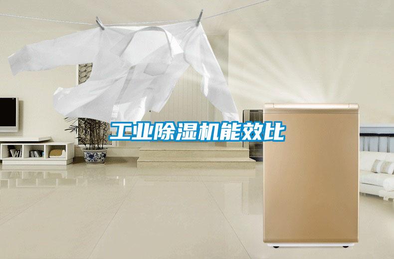工業(yè)除濕機能效比