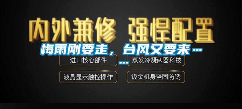 梅雨剛要走，臺風又要來……