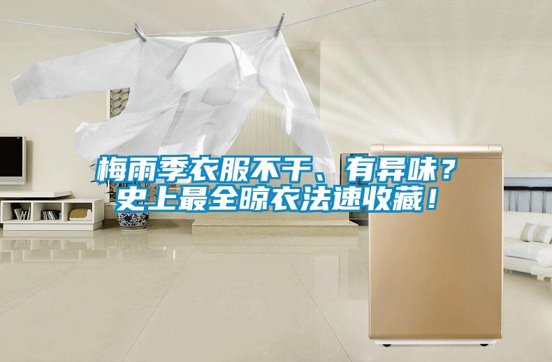 梅雨季衣服不干、有異味？史上最全晾衣法速收藏！
