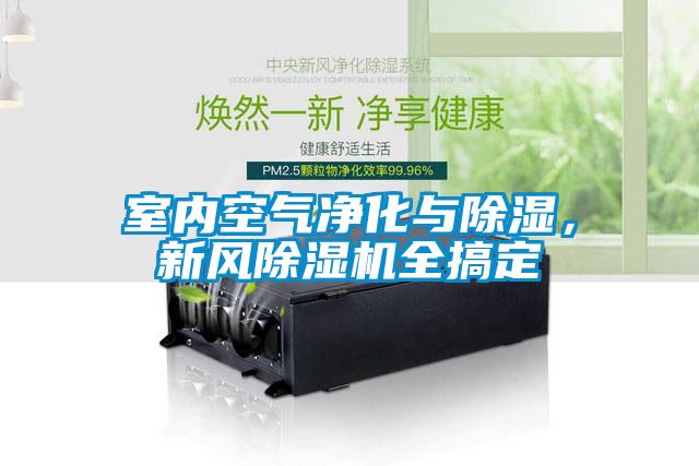 室內(nèi)空氣凈化與除濕，新風(fēng)除濕機(jī)全搞定