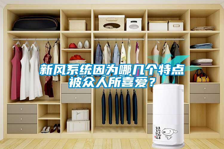 新風(fēng)系統(tǒng)因為哪幾個特點被眾人所喜愛？
