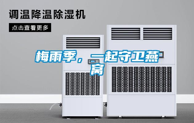 梅雨季，一起守衛(wèi)燕窩