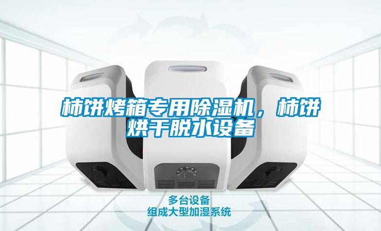 柿餅烤箱專用除濕機，柿餅烘干脫水設(shè)備