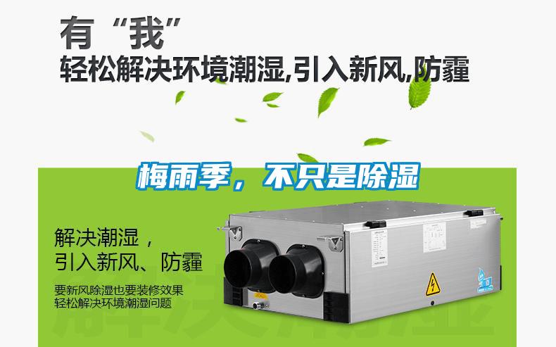 梅雨季，不只是除濕