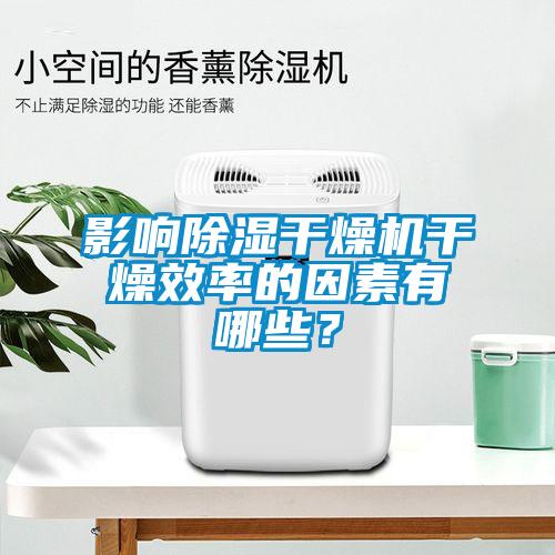 影響除濕干燥機干燥效率的因素有哪些？