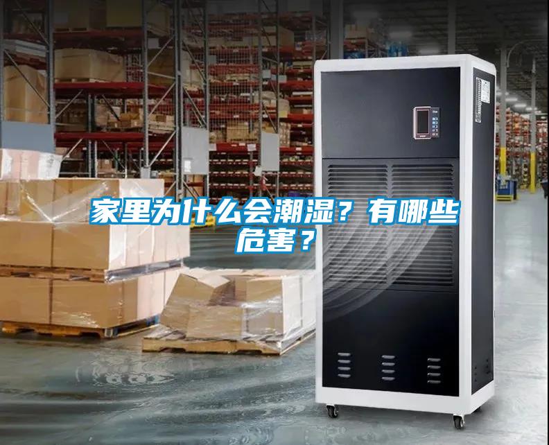 家里為什么會(huì)潮濕？有哪些危害？