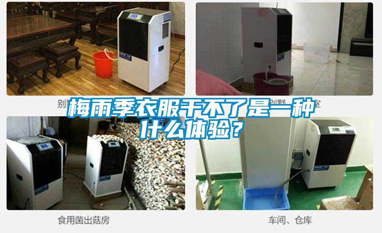 梅雨季衣服干不了是一種什么體驗？