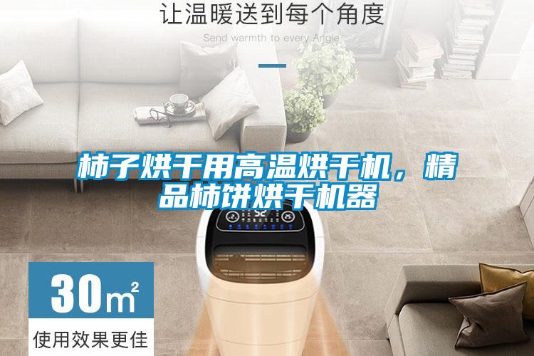 柿子烘干用高溫烘干機(jī)，精品柿餅烘干機(jī)器