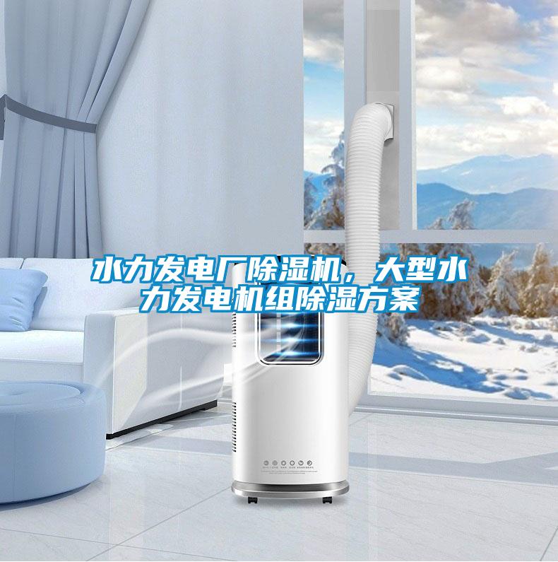 水力發(fā)電廠除濕機(jī)，大型水力發(fā)電機(jī)組除濕方案