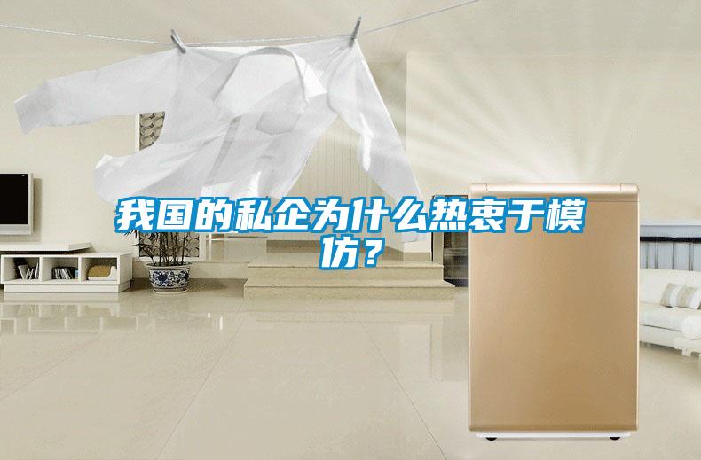 我國(guó)的私企為什么熱衷于模仿？