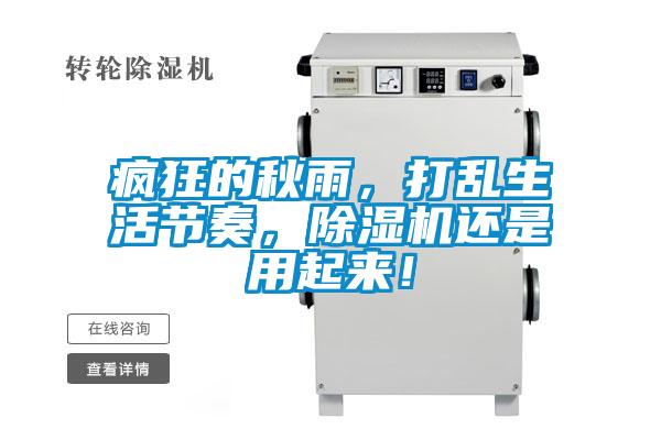 瘋狂的秋雨，打亂生活節(jié)奏，除濕機(jī)還是用起來！