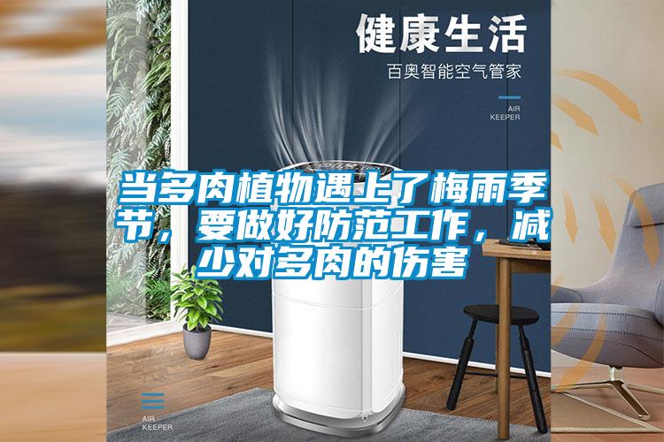 當(dāng)多肉植物遇上了梅雨季節(jié)，要做好防范工作，減少對(duì)多肉的傷害