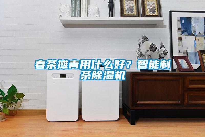 春茶攤青用什么好？智能制茶除濕機